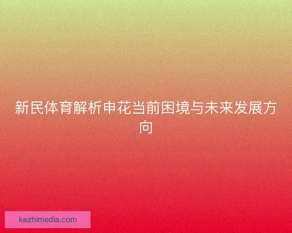 新民体育解析申花当前困境与未来发展方向