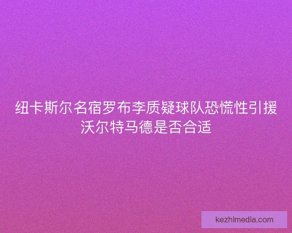 纽卡斯尔名宿罗布李质疑球队恐慌性引援沃尔特马德是否合适